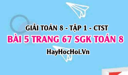 Giải bài 5 trang 67 Toán 8 Tập 1 SGK Chân trời sáng tạo